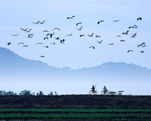 làng quê việt nam