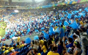 torcida_japao_lixo5_chandyteixeira_69-fb401