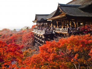 kyoto-mua-la-do
