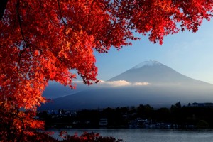 kyoto-mua-la-do2