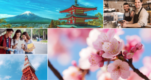 Trải nghiệm văn hoá và cuộc sống tuyệt vời khi đi du học Nhật Bản